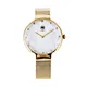 Luxury watch