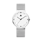 Luxury watch