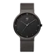 Stainless steel watch