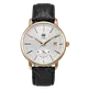 Luxury watch