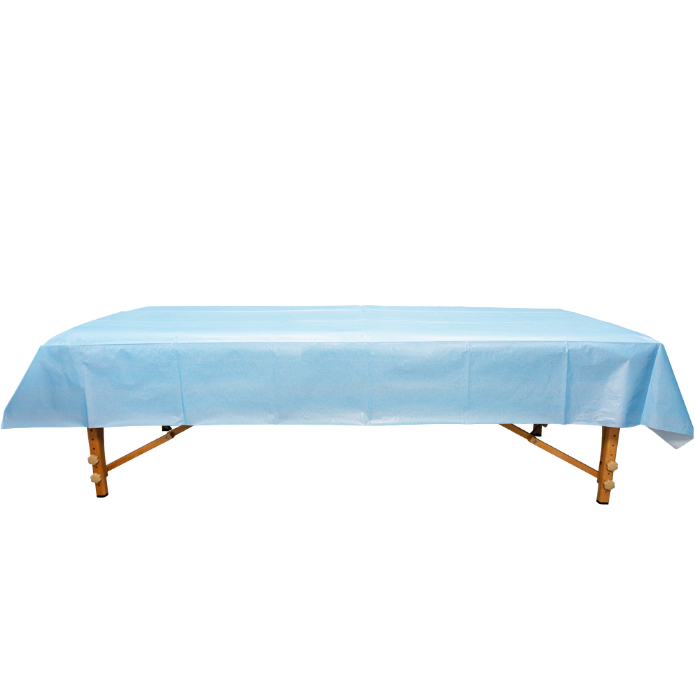 Disposable bed sheet for patient