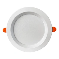 Iron DownLight Series