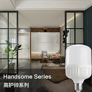 Handsome Series