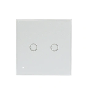 WiFi EU Light switch 2gang