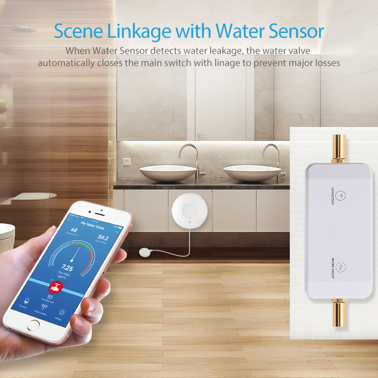 The Role of Intelligent WiFi Sensors