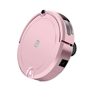 Intelligent cleaning robot