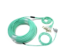 MPO/MTP Harnesses Cables-D