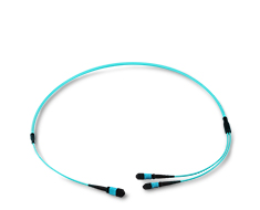 MPO/MTP Trunk Cable-B