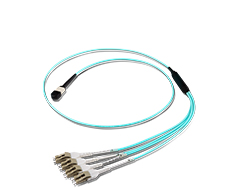 MPO/MTP Harnesses Cables-B