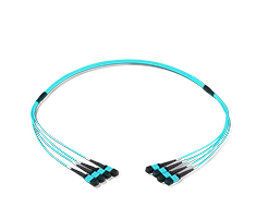 MPO/MTP Trunk Cable-C