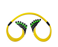 MPO/MTP Trunk Cable-D