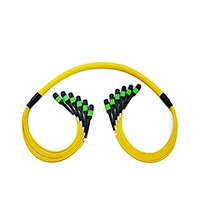 MPO/MTP Trunk Cable-D