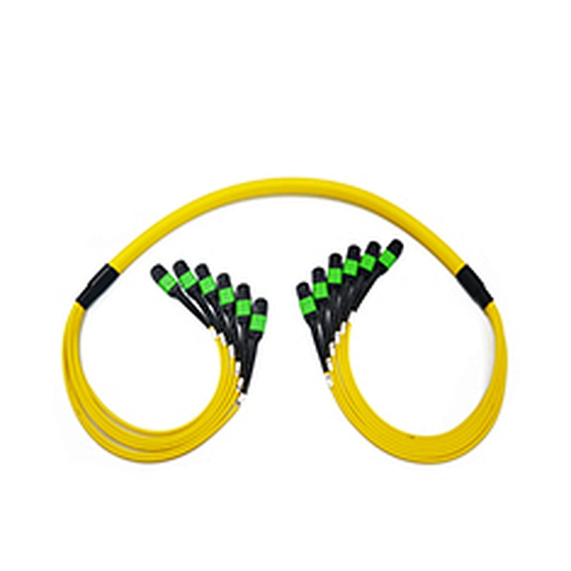 MPO/MTP Trunk Cable-D
