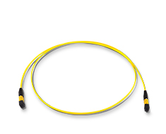 MPO/MTP Trunk Cable-A