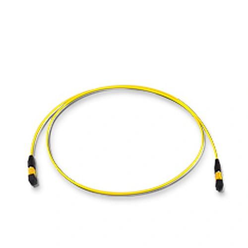 MPO/MTP Trunk Cable-A