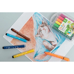 Color marker with stamper