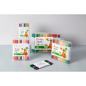 Twin tip color marker