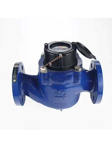 reads and interprets electric and water meter readings