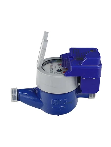 Rotor Dry Wireless Remote Water Meter
