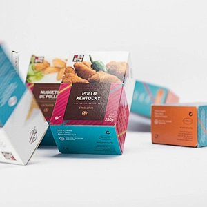 Fast Food Packaging Box