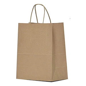 Gift Shopping Paper Bags