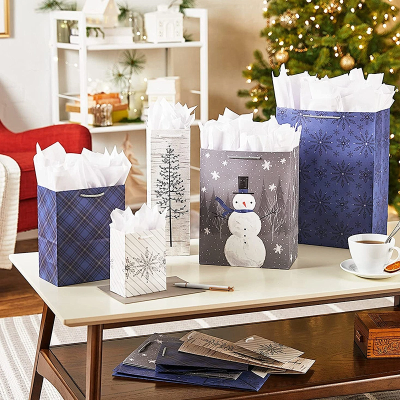 Art Paper Gift Package Bags
