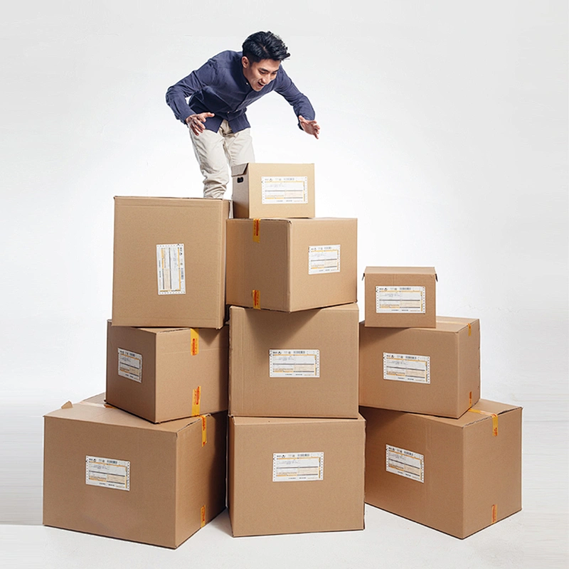 Mailer Packaging Carton Box