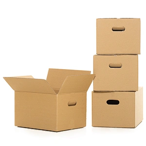 Mailer Packaging Carton Box
