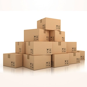 Mailer Packaging Carton Box