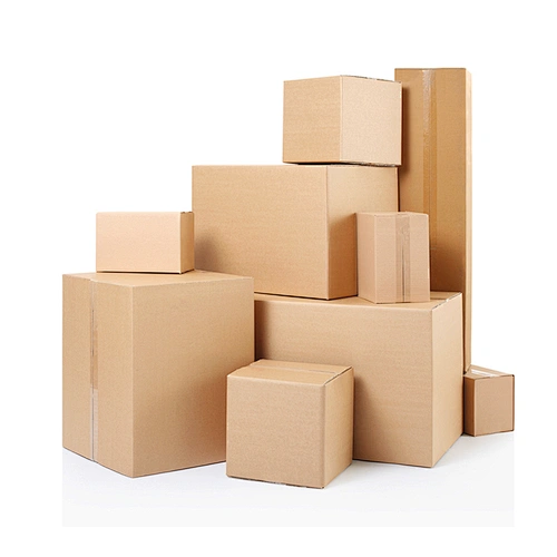 Mailer Packaging Carton Box