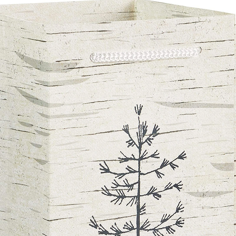 Art Paper Gift Package Bags