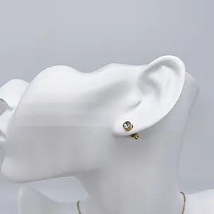 Conjunto de joyas de mariposa