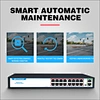 ethernet fiber switch