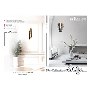 2021-Brilliant Sep.-“Creative” metal wall lamp series