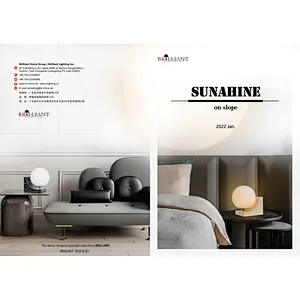 2022-Brilliant Jan.-Sunshine On Slope Table Lamps Series