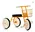 children tricycle