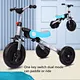 children tricycle