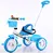 children tricycle