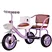 children tricycle