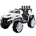 electric car battery toy