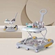 multifunctional walker