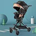 twin stroller baby stroller