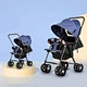 best folding stroller