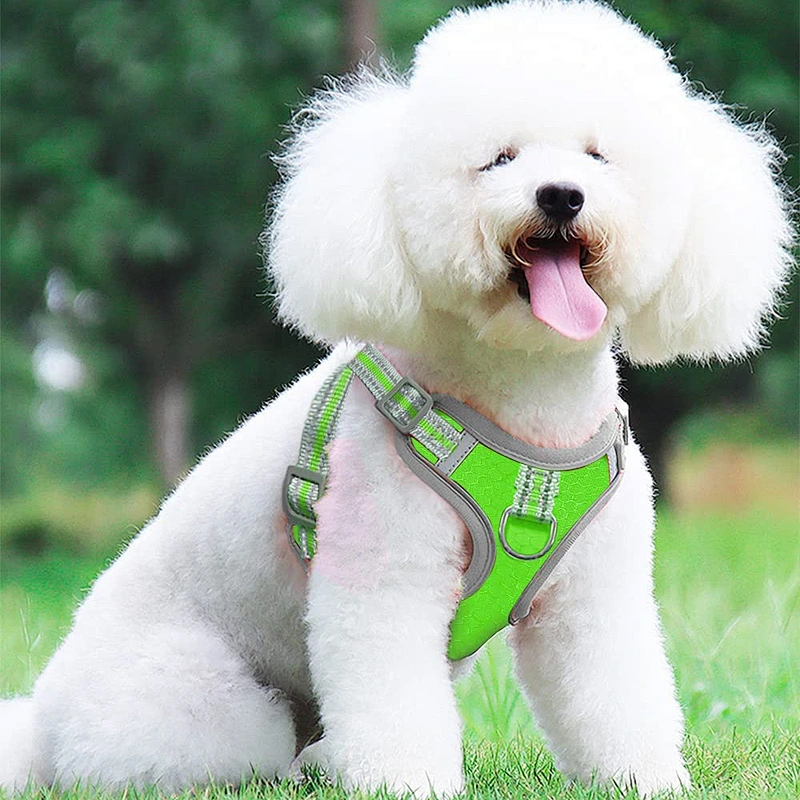 Custom High End Pet Dog Reversible Harness Reflective Dog Harness with dog leash