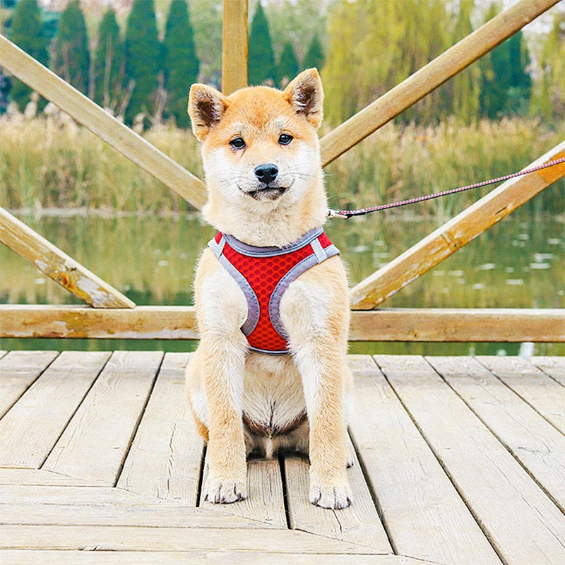 Custom High End Pet Dog Reversible Harness Reflective Dog Harness with dog leash