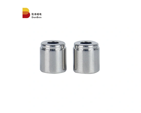 ring magnet