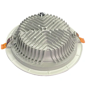 30W LED Down light