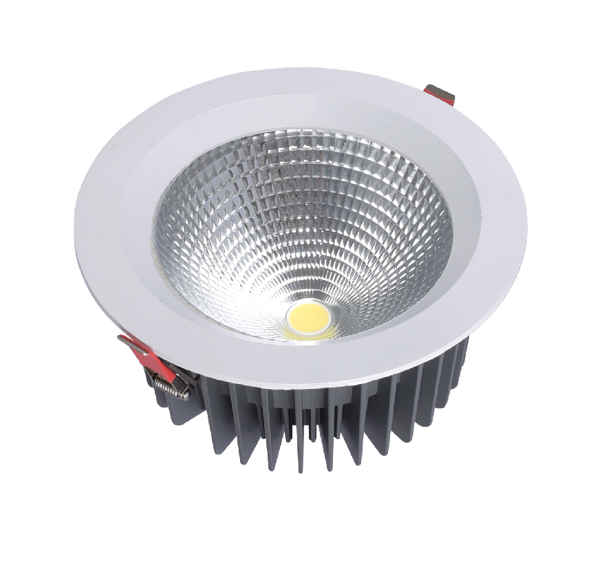 30W LED Down light