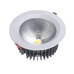 30W LED Down light