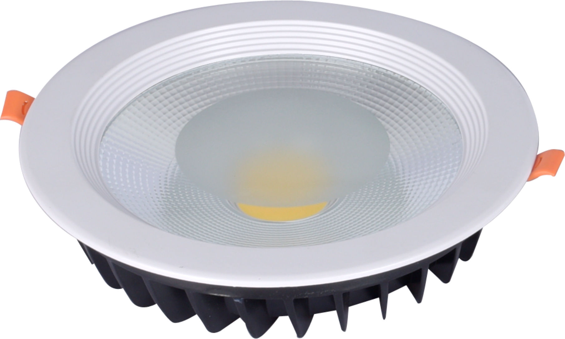 30W LED Down light